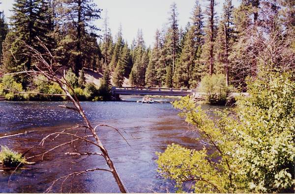 Metolius River (9/7/2006 6:47:25 PM)