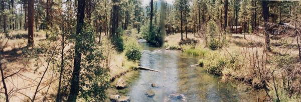 Metolius River (9/7/2006 6:49:58 PM)