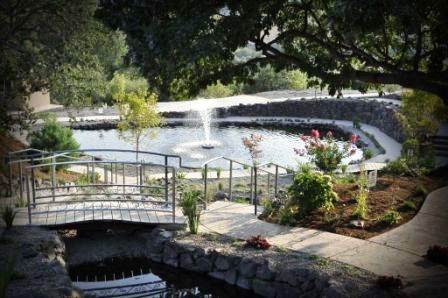 Belle Fiore Winery