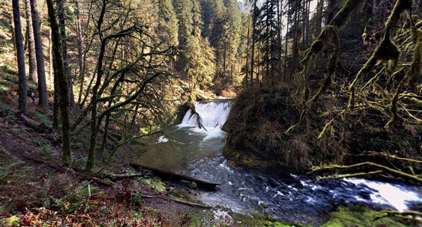 Silver Falls State Park (5/6/2019)