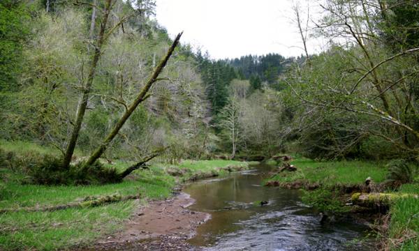Golden and Silver Falls State Natural Area (4/20/2006 - Credits: Matt Petras)