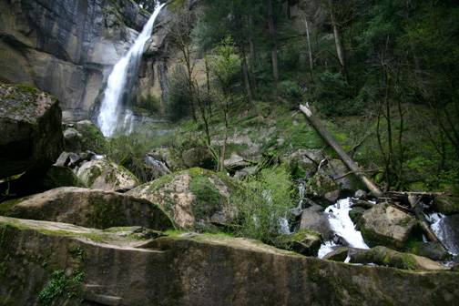 Golden and Silver Falls State Natural Area (4/20/2006 - Credits: Matt Petras)