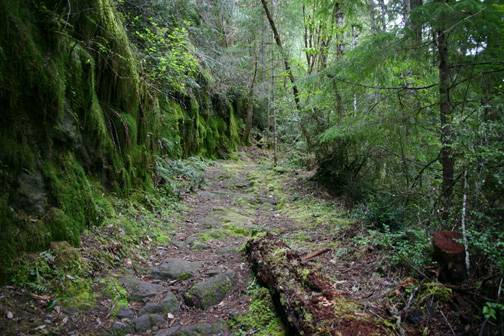 Golden and Silver Falls State Natural Area (4/20/2006 - Credits: Matt Petras)