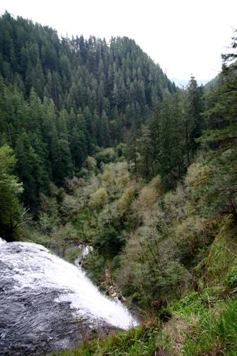 Golden and Silver Falls State Natural Area (4/20/2006 - Credits: Matt Petras)