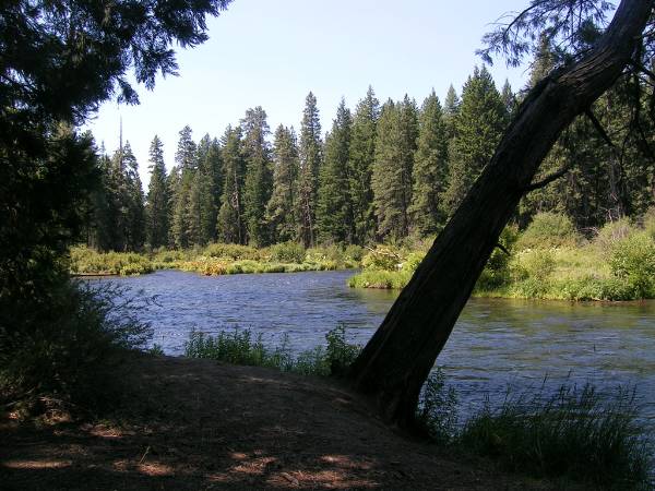 Metolius River (4/23/2007 - Credits: S. Oster)
