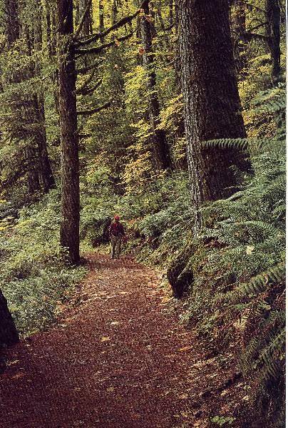 Silver Falls State Park (6/6/2007)