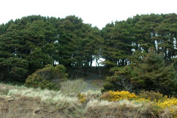 Bandon, City of (8/7/2007 - Credits: Peter Gluck)