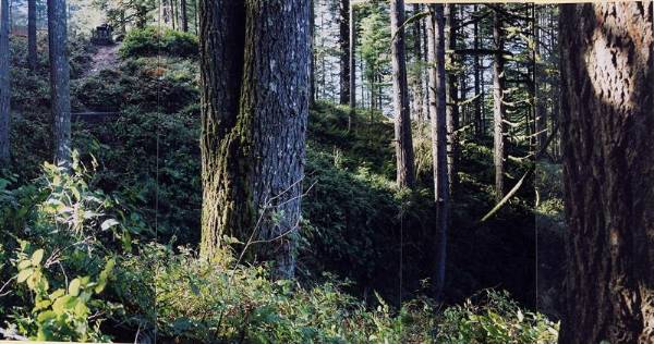 Silver Falls State Park (8/14/2007)