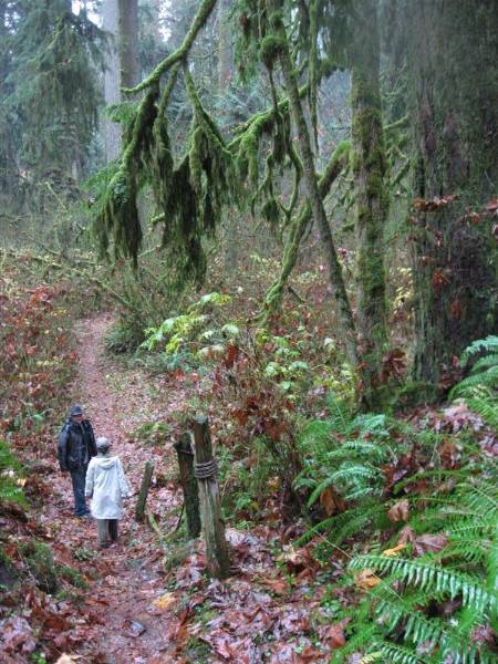 Oxbow Park (11/3/2008 - Credits: Bob Schmaling)